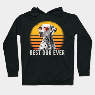 Dalmatian Dog Retro Vintage Hoodie